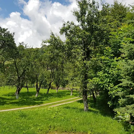 Holiday home Casa Felicia